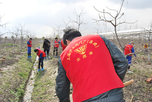 公司志愿者參與除草志愿活動(dòng)