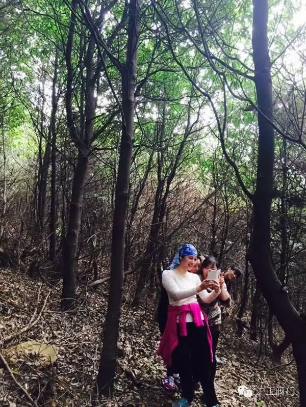 上海滬工閥門廠2016年秋季徒步毅行活動(dòng) 圖14