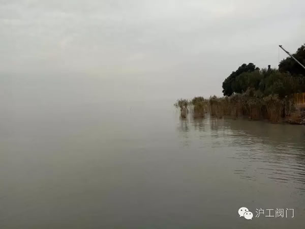 上海滬工閥門廠2016年秋季徒步毅行活動(dòng) 圖26