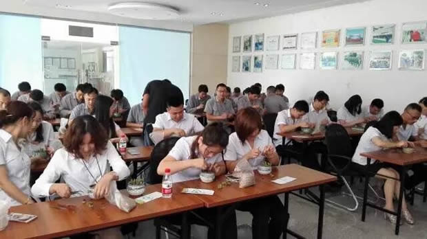 華亭鎮團委聯合上海滬工閥門廠開展微景觀綠植DIY活動(圖4)