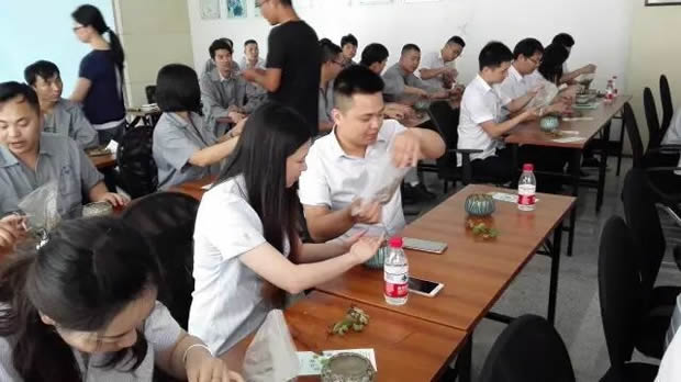 華亭鎮團委聯合上海滬工閥門廠開展微景觀綠植DIY活動(圖7)