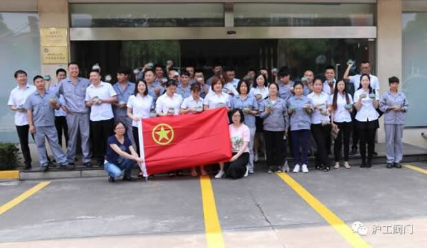 華亭鎮團委聯合上海滬工閥門廠開展微景觀綠植DIY活動(圖8)