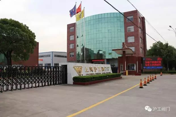 嘉定區副區長陸祖芳等領導一行蒞臨我公司視察指導工作(圖1)