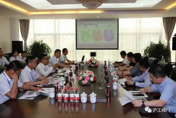 嘉定區副區長陸祖芳等領導一行蒞臨我公司視察指導工作(圖3)