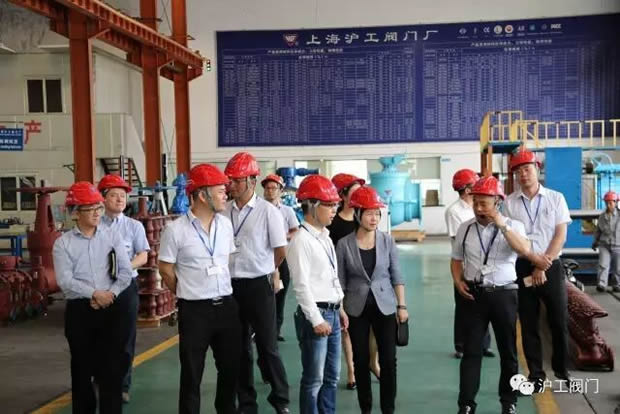 嘉定區副區長陸祖芳等領導一行蒞臨我公司視察指導工作(圖7)